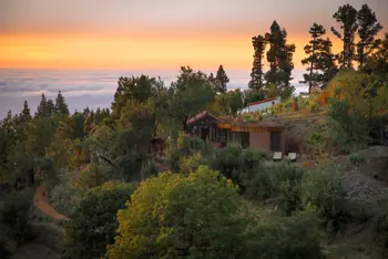 El Sitio im Kiefernwald über den Wolken