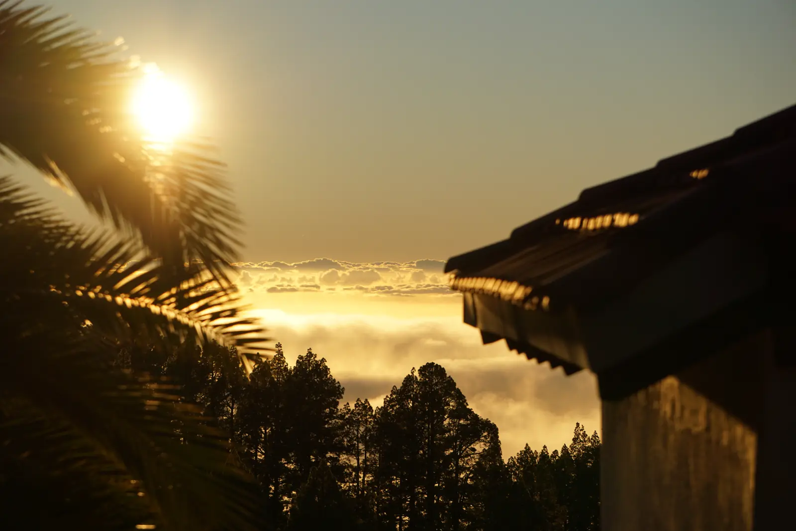 Abendsonne über dem Wolkenmeer, im Vordergrund eine Palme und ein Hausdach