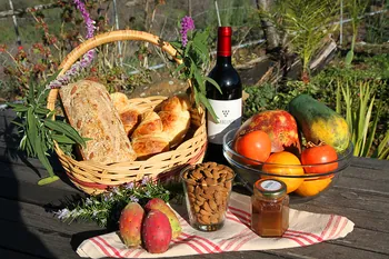 Korb mit Brot, Mandeln, Früchten, Marmelade und Hauswein